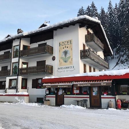 Hotel Genzianella Presenaio エクステリア 写真
